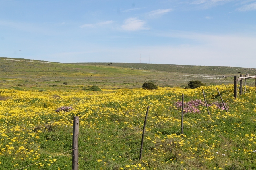 0 Bedroom Property for Sale in Harbour Heights Western Cape